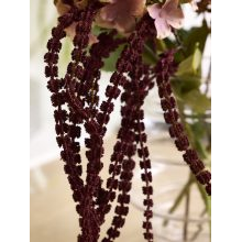 New artificial flowers_Sostrene Grene_Available from 31 July 2025 (14).jpg